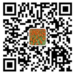 041693809888167017.png image.png